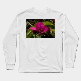 Bougainvillea Close Up Long Sleeve T-Shirt